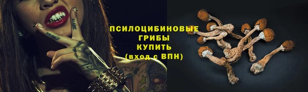 спиды Кодинск